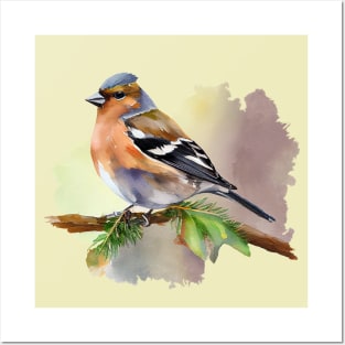 Watercolor Chaffinch on a twig Posters and Art